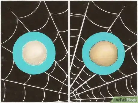 Image intitulée Identify Spider Egg Sacs Step 5