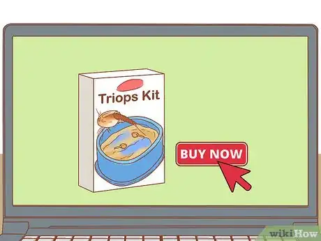 Image intitulée Care for Triops Step 6