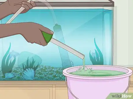Image intitulée Clean a Fish Tank Step 4