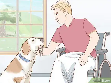 Image intitulée Train Your Service Dog Without a Professional Trainer Step 13