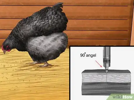 Image intitulée Vaccinate Chickens Step 15