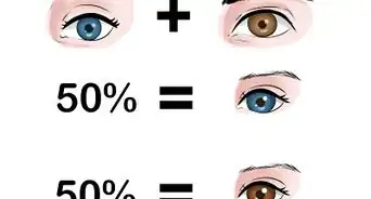 prédire  la couleur des yeux de son bébé