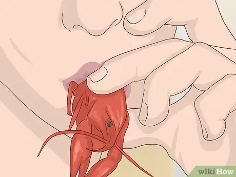 Image intitulée Eat a Crawfish Step 2