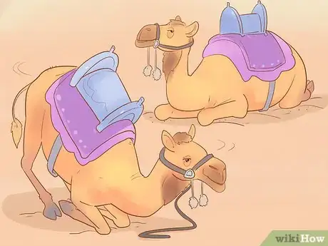 Image intitulée Buy a Camel Step 10