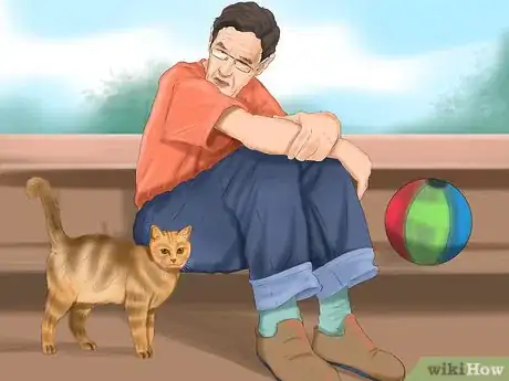 Image intitulée Train a Cat Step 8