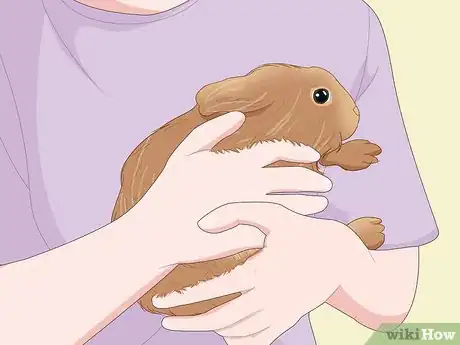 Image intitulée Care for a New Pet Rabbit Step 8