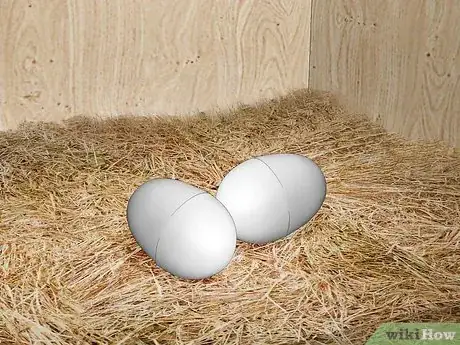Image intitulée Raise Chickens for Eggs Step 20