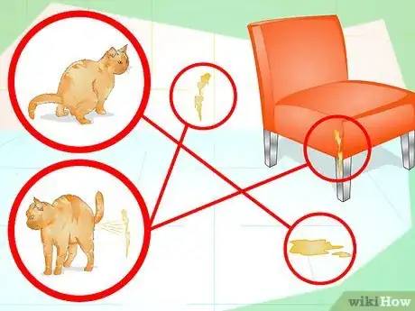 Image intitulée Prevent a Cat from Spraying Step 7