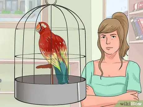 Image intitulée Teach Your Bird to Talk Step 11
