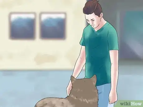 Image intitulée Own a Pet Wolf Step 6