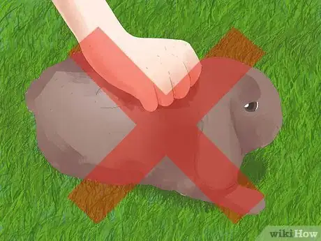 Image intitulée Understand Your Rabbit Step 14