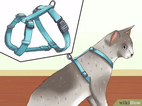 Image intitulée Leash Train a Cat Step 2