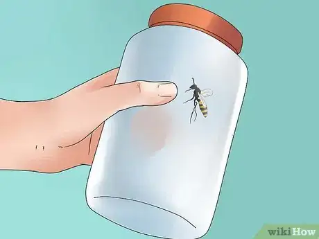 Image intitulée Kill a Wasp Step 3