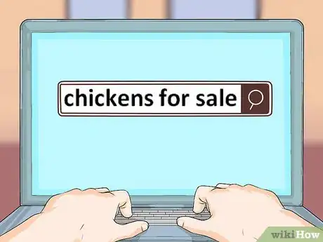 Image intitulée Take Care of Chickens Step 10