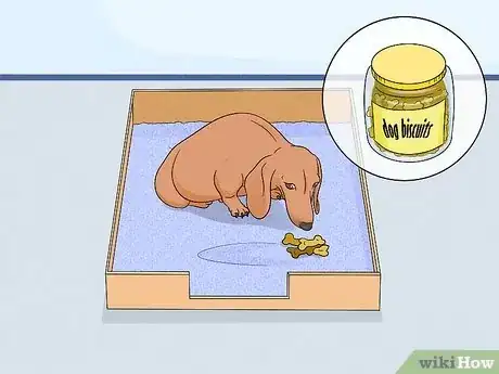 Image intitulée Care for Newborn Puppies Step 9