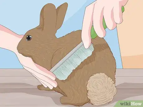 Image intitulée Care for a New Pet Rabbit Step 9