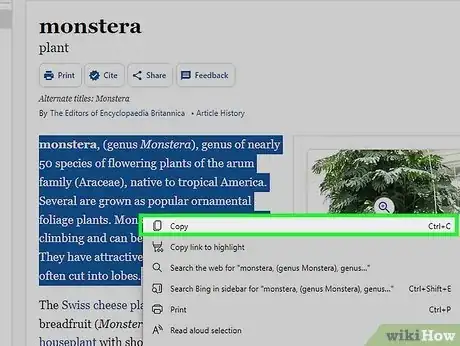 Image intitulée Preserve Formatting When Using Copy and Paste Step 1