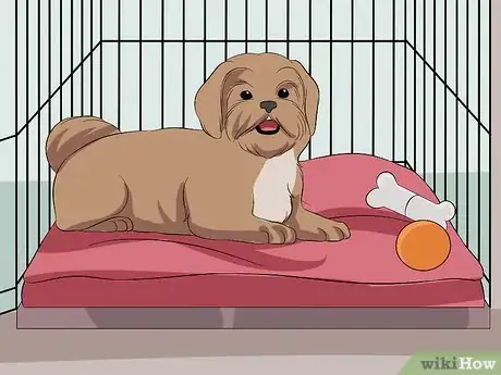 Image intitulée Train Your Shih Tzu Step 5