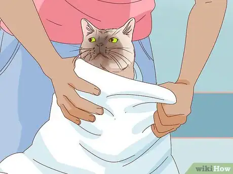 Image intitulée Bathe an Angry Cat With Minimal Damage Step 9