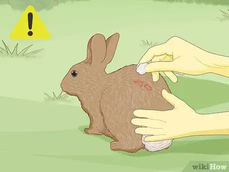Image intitulée Care for an Injured Rabbit Step 11