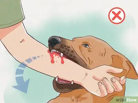 Image intitulée Protect Yourself from Dogs While Walking Step 11