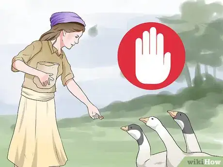 Image intitulée Feed Geese Safely Step 12