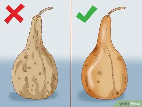 Image intitulée Dry Birdhouse Gourds Step 8