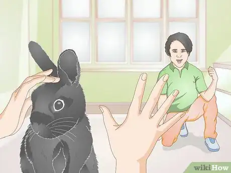 Image intitulée Earn Your Rabbit's Trust Step 11