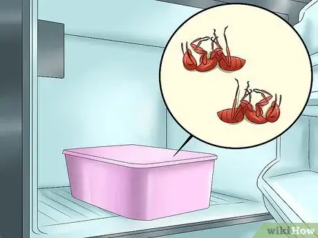 Image intitulée Keep Ants Out of Pet Food Step 6