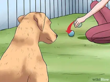 Image intitulée Teach a Dog to Track Step 5