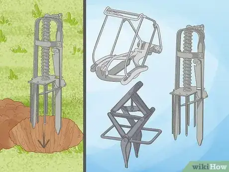 Image intitulée Catch Moles Step 4