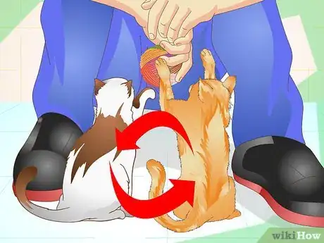 Image intitulée Prevent a Cat from Spraying Step 6