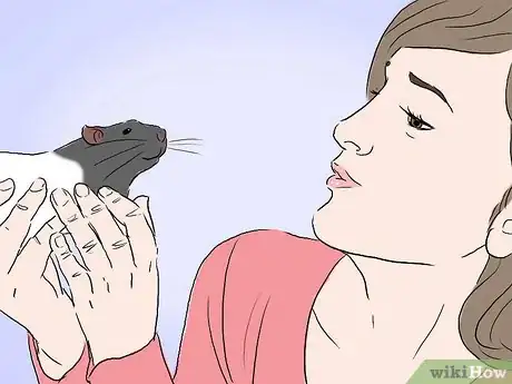 Image intitulée Tame a Rat Step 13