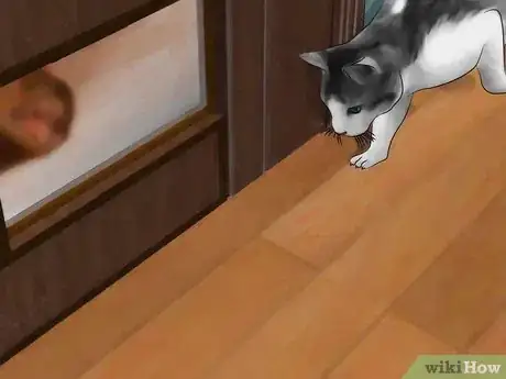 Image intitulée Keep a Fisher Cat Away Step 2