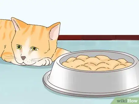 Image intitulée Tell if Your Cat Is Depressed Step 6