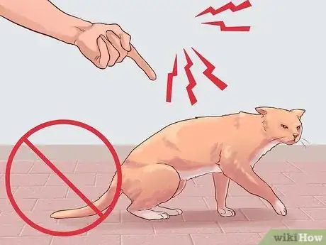 Image intitulée Discipline Your Cat or Kitten Step 3