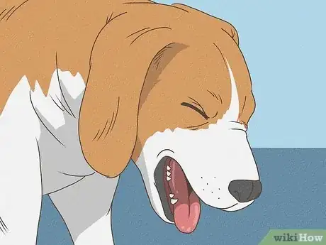 Image intitulée Know When Your Dog is Sick Step 15