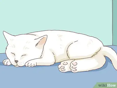 Image intitulée Tell if Your Cat Is Depressed Step 4