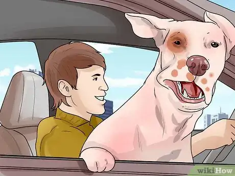 Image intitulée Deal With Your Dog's Fear of Vehicles Step 18