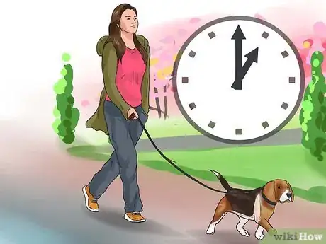 Image intitulée Take Care of a Beagle Puppy Step 16