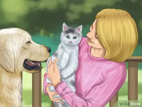 Image intitulée Make a Cat and Dog Get Along Step 5