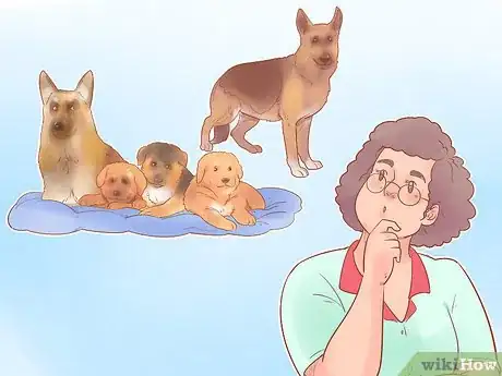 Image intitulée Choose a German Shepherd Puppy Step 13