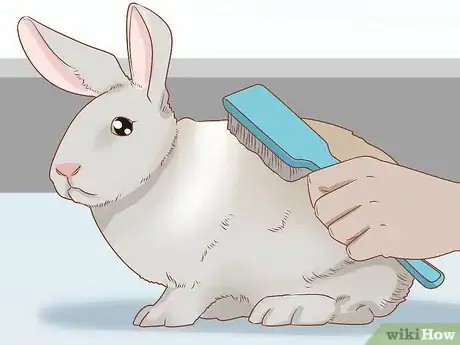 Image intitulée Raise Rabbits Step 11