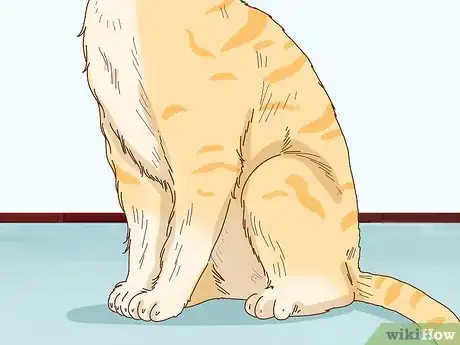 Image intitulée Tell if Your Cat Is Depressed Step 7