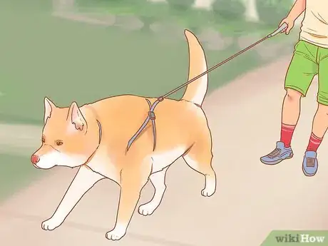 Image intitulée Be Nice to Your Pets Step 12