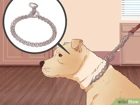 Image intitulée Stop a Dog from Pulling on Its Leash Step 11