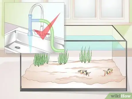 Image intitulée Do a Water Change in a Freshwater Aquarium Step 6