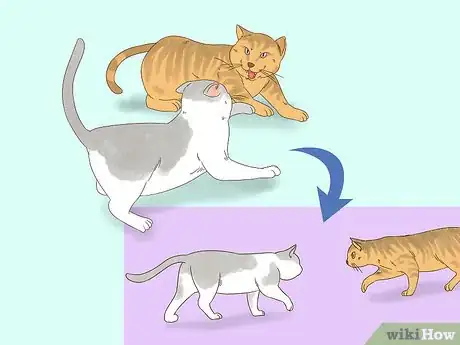 Image intitulée Know if Cats Are Playing or Fighting Step 8