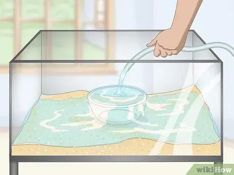 Image intitulée Set up a Tropical Freshwater Aquarium Step 6