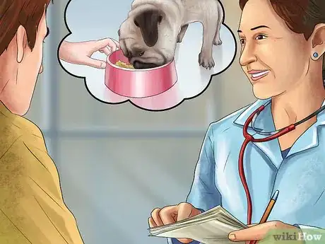 Image intitulée Care for a Pug Step 8
